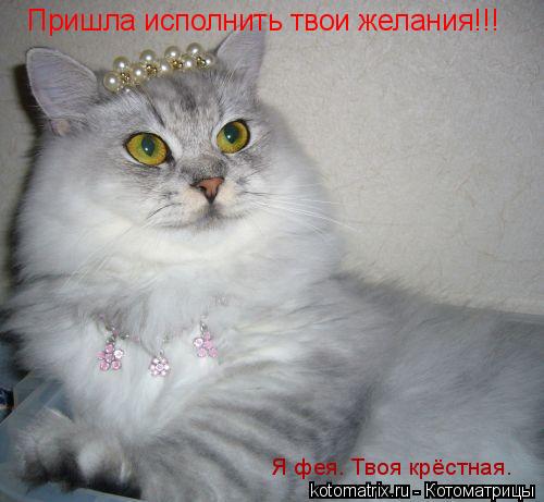 Пришла исполнить твои желания!!! Я фея. Твоя крёстная.... Котоматрица: Пришла исполнить твои желания!!! Я фея. Твоя крёстная.