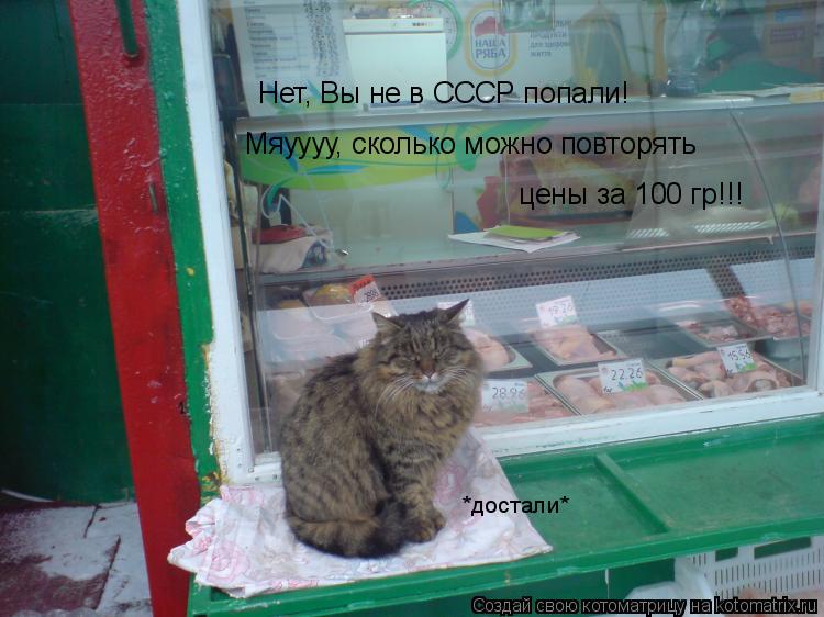 Нет, Вы не в СССР попали! Мяуууу, сколько можно повторять цены за 100 гр!!! *достали*... Котоматрица: Нет, Вы не в СССР попали! Мяуууу, сколько можно повторять цены за 100 гр!!! *достали*