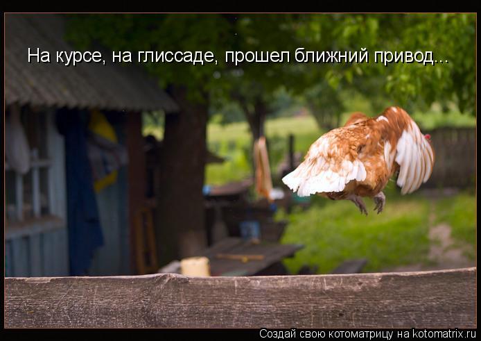 На курсе, на глиссаде, прошел ближний привод...... Котоматрица: На курсе, на глиссаде, прошел ближний привод...