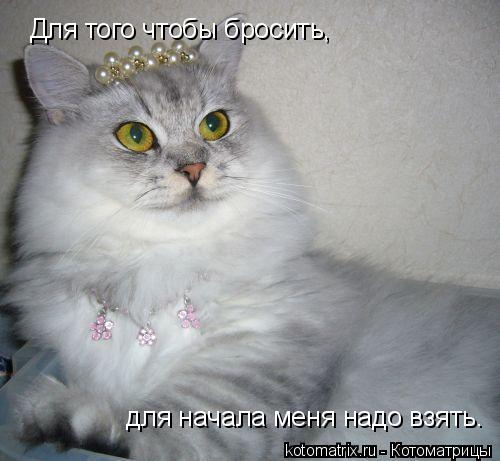 Для того чтобы бросить, для начала меня надо взять.... Котоматрица: Для того чтобы бросить, для начала меня надо взять.