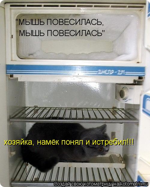 хозяйка, намёк понял и истребил!!! "МЫШЬ ПОВЕСИЛАСЬ, МЫШЬ ПОВЕСИЛАСЬ"... Котоматрица: хозяйка, намёк понял и истребил!!! "МЫШЬ ПОВЕСИЛАСЬ, МЫШЬ ПОВЕСИЛАСЬ"