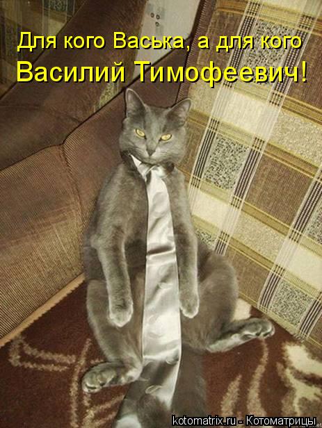 Василий Тимофеевич! Для кого Васька, а для кого... Котоматрица: Василий Тимофеевич! Для кого Васька, а для кого