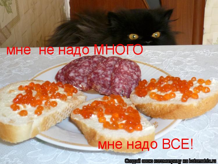 мне не надо МНОГО мне надо ВСЕ!... Котоматрица: мне не надо МНОГО мне надо ВСЕ!