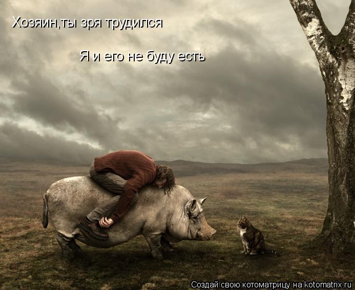 Хозяин,ты зря трудился Я и его не буду есть... Котоматрица: Хозяин,ты зря трудился Я и его не буду есть
