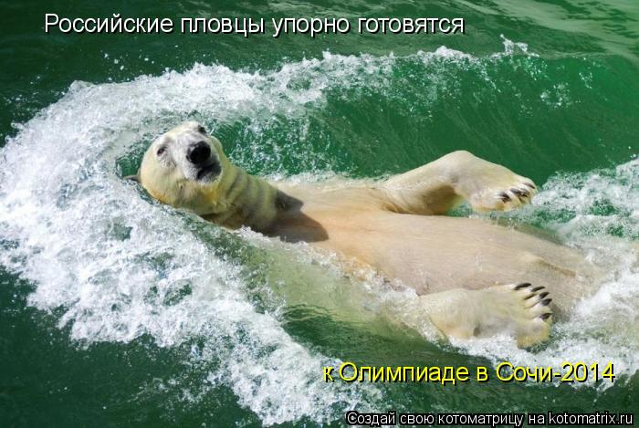 Российские пловцы упорно готовятся к Олимпиаде в Сочи-2014... Котоматрица: Российские пловцы упорно готовятся к Олимпиаде в Сочи-2014