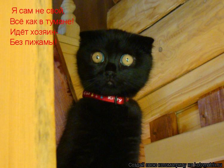 Я сам не свой, Всё как в тумане! Идёт хозяин- Без пижамы!... Котоматрица: Я сам не свой, Всё как в тумане! Идёт хозяин- Без пижамы!