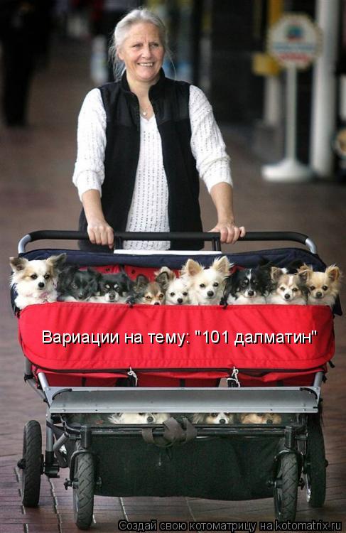 Вариации на тему: "101 далматин"... Котоматрица: Вариации на тему: "101 далматин"