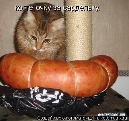 когтеточку за сардельку.... Котоматрица: когтеточку за сардельку.