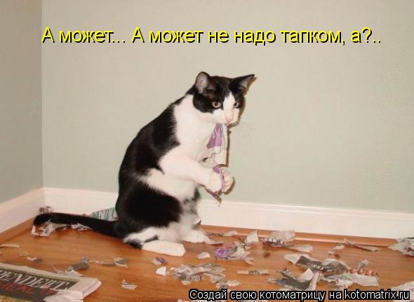 А может... А может не надо тапком, а?..... Котоматрица: А может... А может не надо тапком, а?..