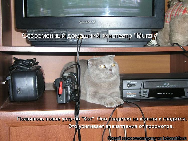 Современный домашний кинотеатр "Murzik". Появилось новое устр-во "Кот". Оно кладется на колени и глад... Котоматрица: Современный домашний кинотеатр "Murzik". Появилось новое устр-во "Кот". Оно кладется на колени и гладится. Это усиливает впечатления от просмот