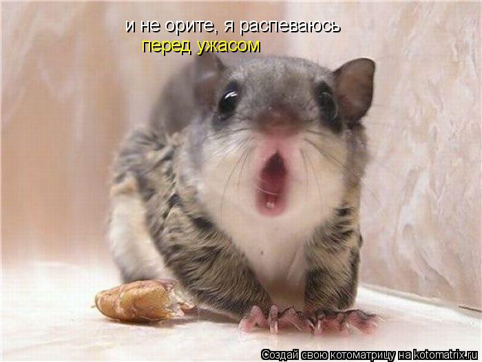 и не орите, я распеваюсь перед ужасом... Котоматрица: и не орите, я распеваюсь перед ужасом