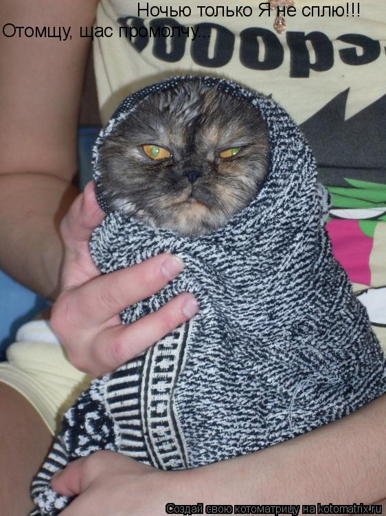 Ночью только Я не сплю!!! Отомщу, щас промолчу...... Котоматрица: Ночью только Я не сплю!!! Отомщу, щас промолчу...