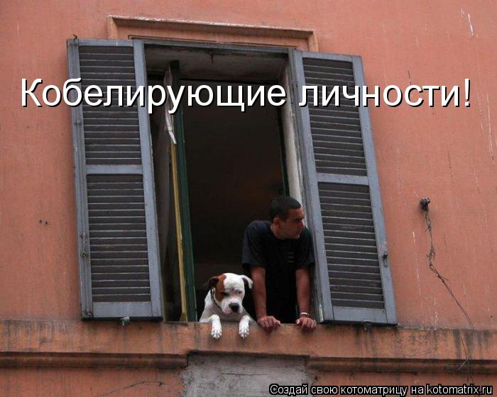 Кобелирующие личности!... Котоматрица: Кобелирующие личности!