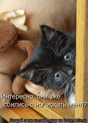 Интересно, они уже сбились с ног искать меня?????... Котоматрица: Интересно, они уже сбились с ног искать меня?????