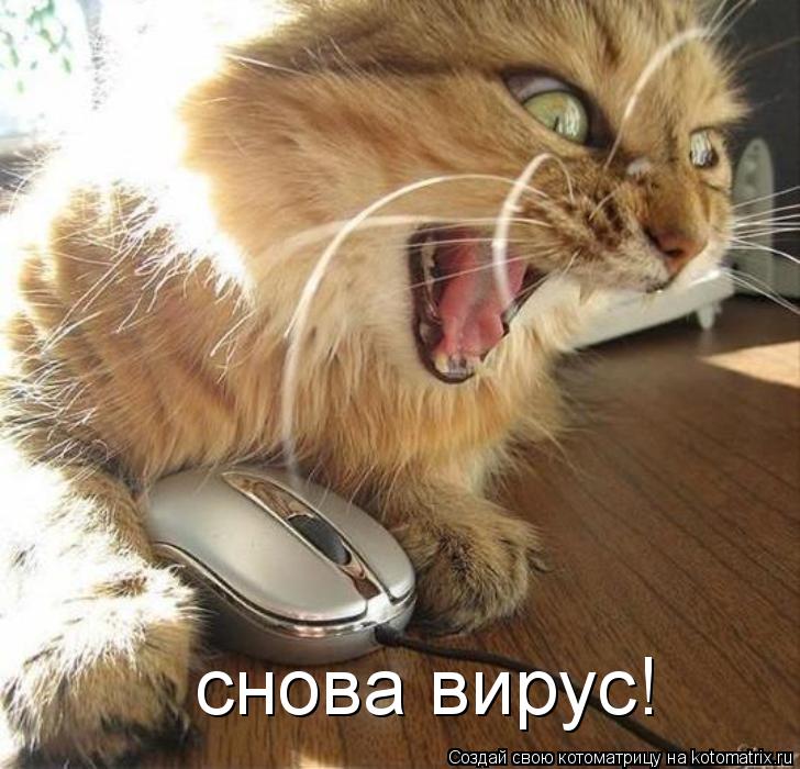 снова вирус!... Котоматрица: снова вирус!