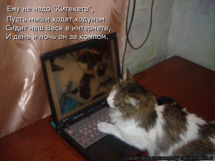 Ему не надо "Китекета", Пусть мыши ходят ходуном. Сидит наш Вася в интернете, И день и ночь он ... Котоматрица: Ему не надо "Китекета", Пусть мыши ходят ходуном. Сидит наш Вася в интернете, И день и ночь он за компом.