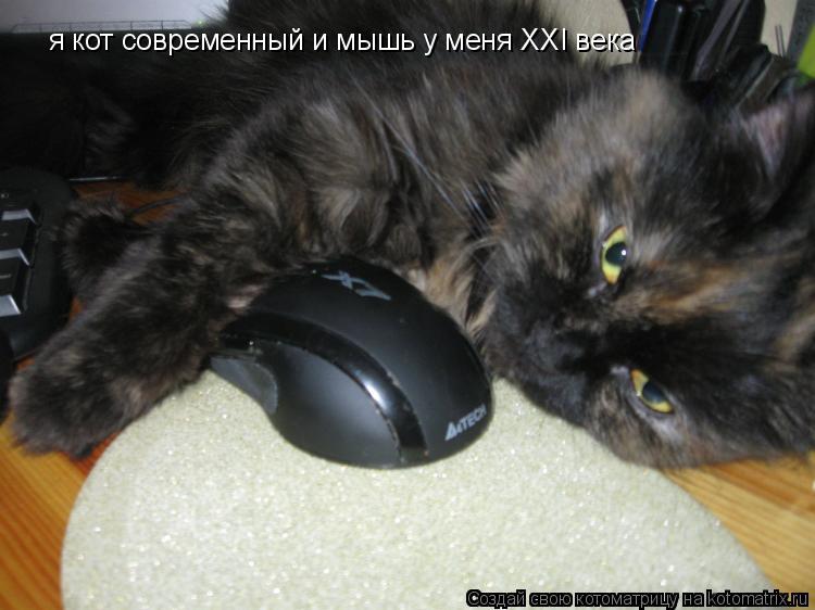 я кот современный и мышь у меня XXI века... Котоматрица: я кот современный и мышь у меня XXI века