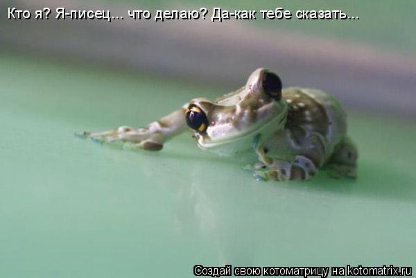Кто я? Я-писец... что делаю? Да-как тебе сказать...... Котоматрица: Кто я? Я-писец... что делаю? Да-как тебе сказать...