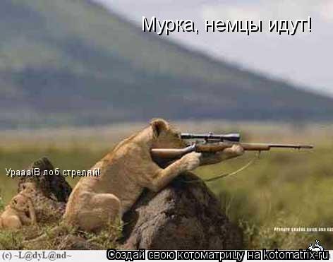 Котоматрица: Мурка, немцы идут! Урааа!В лоб стреляй!