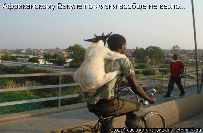 Африканскому Вакуле по-жизни вообще не везло...... Котоматрица: Африканскому Вакуле по-жизни вообще не везло...