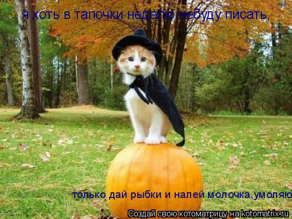Котоматрица: я хоть в тапочки неделю небуду писать, только дай рыбки и налей молочка,умоляю