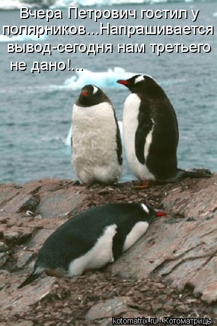Вчера Петрович гостил у полярников...Напрашивается вывод-сегодня нам третьего не дано!...... Котоматрица: Вчера Петрович гостил у полярников...Напрашивается вывод-сегодня нам третьего не дано!...