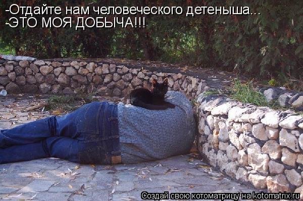 Котоматрица: -Отдайте нам человеческого детеныша... -ЭТО МОЯ ДОБЫЧА!!!