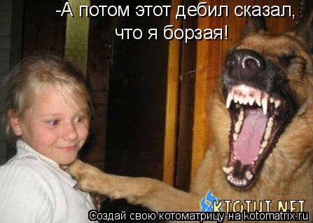 -А потом этот дебил сказал, что я борзая!... Котоматрица: -А потом этот дебил сказал, что я борзая!