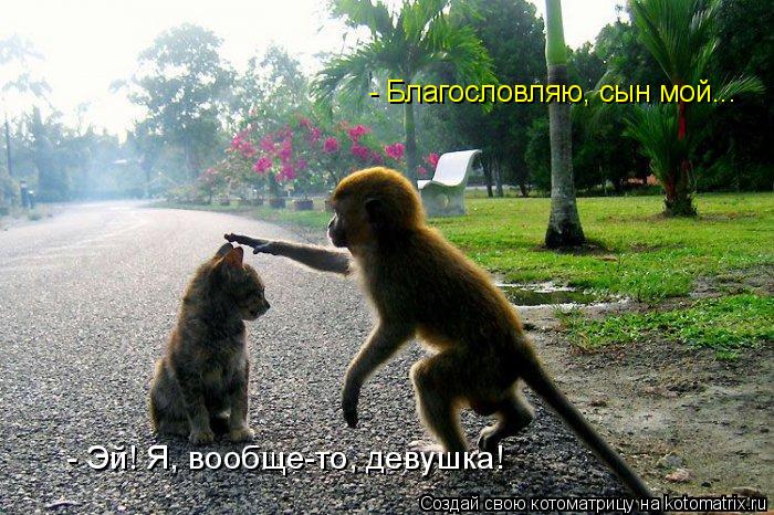 - Благословляю, сын мой... - Эй! Я, вообще-то, девушка!... Котоматрица: - Благословляю, сын мой... - Эй! Я, вообще-то, девушка!