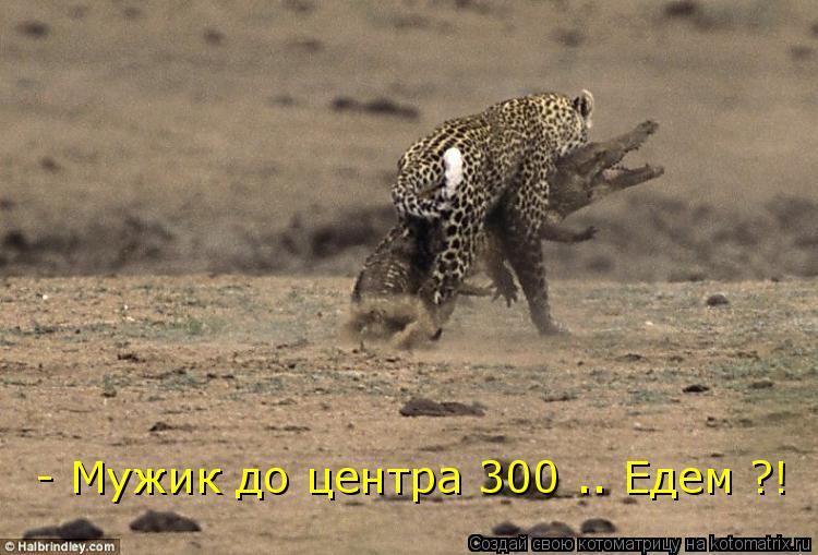 - Мужик до центра 300 .. Едем ?!... Котоматрица: - Мужик до центра 300 .. Едем ?!
