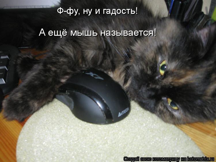 Ф-фу, ну и гадость! А ещё мышь называется!... Котоматрица: Ф-фу, ну и гадость! А ещё мышь называется!