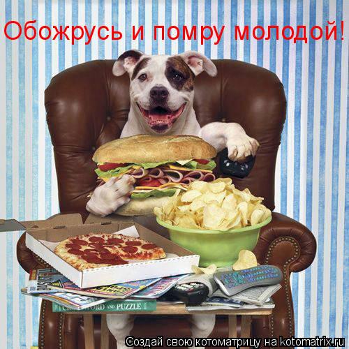 Обожрусь и помру молодой!... Котоматрица: Обожрусь и помру молодой!