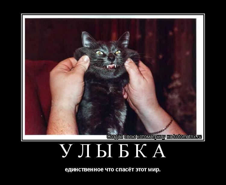 УЛЫБКА единственное что спасёт этот мир.... Котоматрица: УЛЫБКА единственное что спасёт этот мир.