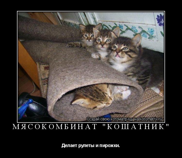 Мясокомбинат "Кошатник" Делает рулеты и пирожки.... Котоматрица: Мясокомбинат "Кошатник" Делает рулеты и пирожки.