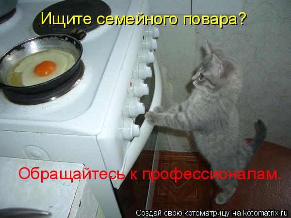 Ищите семейного повара? Обращайтесь к профессионалам.... Котоматрица: Ищите семейного повара? Обращайтесь к профессионалам.