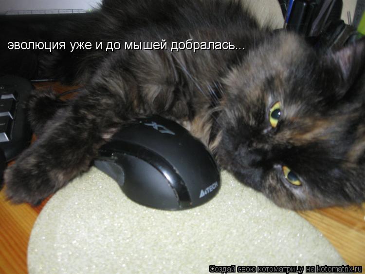 эволюция уже и до мышей добралась...... Котоматрица: эволюция уже и до мышей добралась...