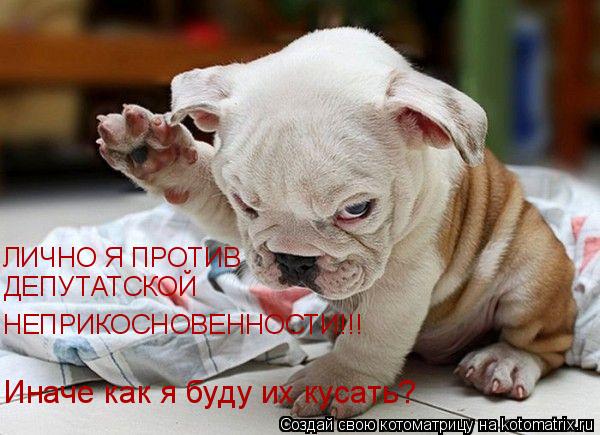 ЛИЧНО Я ПРОТИВ ДЕПУТАТСКОЙ НЕПРИКОСНОВЕННОСТИ!!! Иначе как я буду их кусать?... Котоматрица: ЛИЧНО Я ПРОТИВ ДЕПУТАТСКОЙ НЕПРИКОСНОВЕННОСТИ!!! Иначе как я буду их кусать?