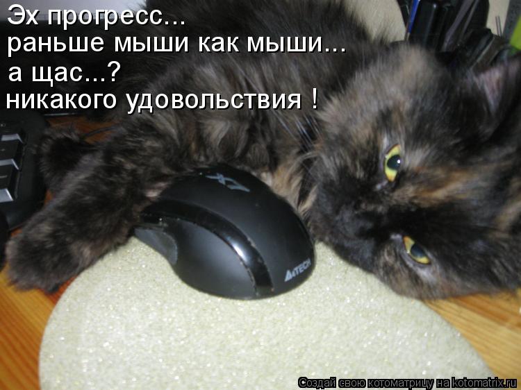 Эх прогресс... раньше мыши как мыши... а щас...? никакого удовольствия !... Котоматрица: Эх прогресс... раньше мыши как мыши... а щас...? никакого удовольствия !