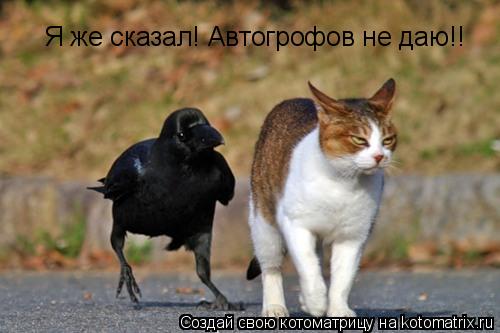 Я же сказал! Автогрофов не даю!!... Котоматрица: Я же сказал! Автогрофов не даю!!