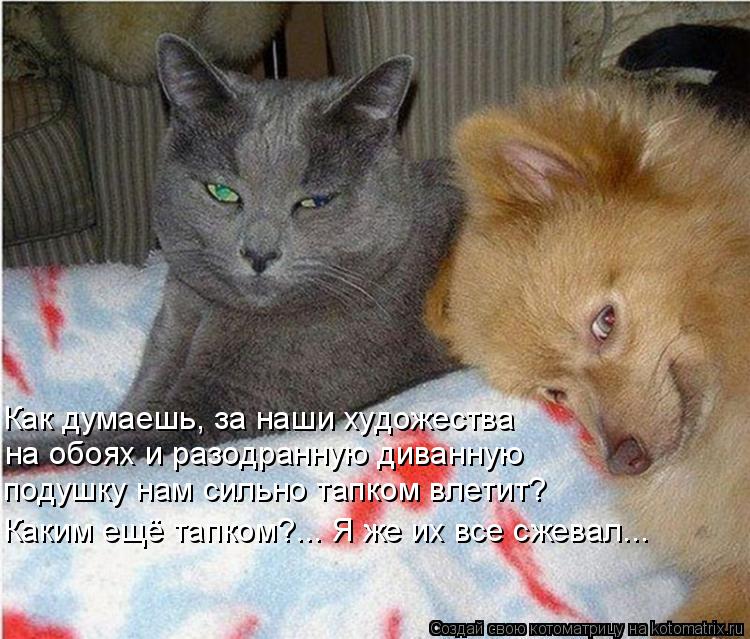 Как думаешь, за наши художества на обоях и разодранную диванную подушку нам сильно тапком влетит? Ка... Котоматрица: Как думаешь, за наши художества на обоях и разодранную диванную подушку нам сильно тапком влетит? Каким ещё тапком?... Я же их все сжевал...