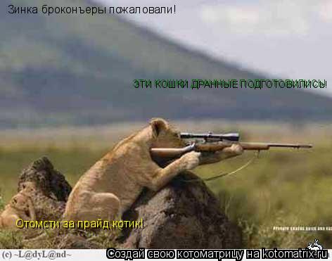 Зинка броконъеры пожаловали! Отомсти за прайд,котик! ЭТИ КОШКИ ДРАННЫЕ ПОДГОТОВИЛИСЬ!... Котоматрица: Зинка броконъеры пожаловали! Отомсти за прайд,котик! ЭТИ КОШКИ ДРАННЫЕ ПОДГОТОВИЛИСЬ!