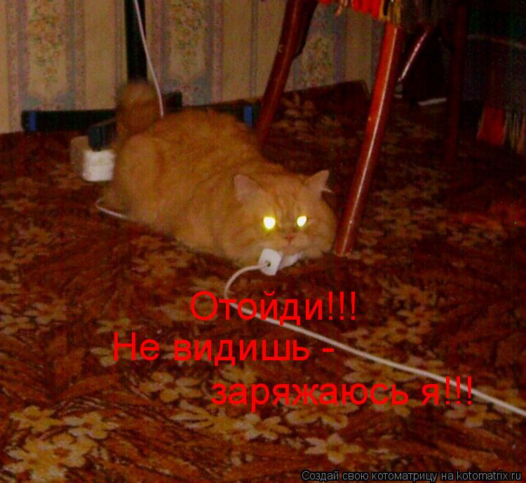 Отойди!!! Не видишь - заряжаюсь я!!!... Котоматрица: Отойди!!! Не видишь - заряжаюсь я!!!