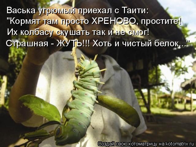 Котоматрица: Васька угрюмый приехал с Таити: "Кормят там просто ХРЕНОВО, простите! Их колбасу скушать так и не смог! Страшная - ЖУТЬ!!! Хоть и чистый белок...