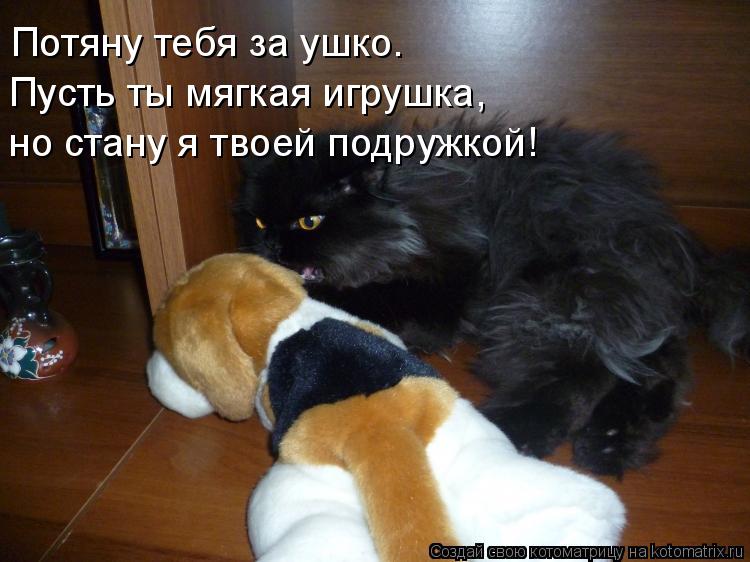 Потяну тебя за ушко. Пусть ты мягкая игрушка, но стану я твоей подружкой!... Котоматрица: Потяну тебя за ушко. Пусть ты мягкая игрушка, но стану я твоей подружкой!