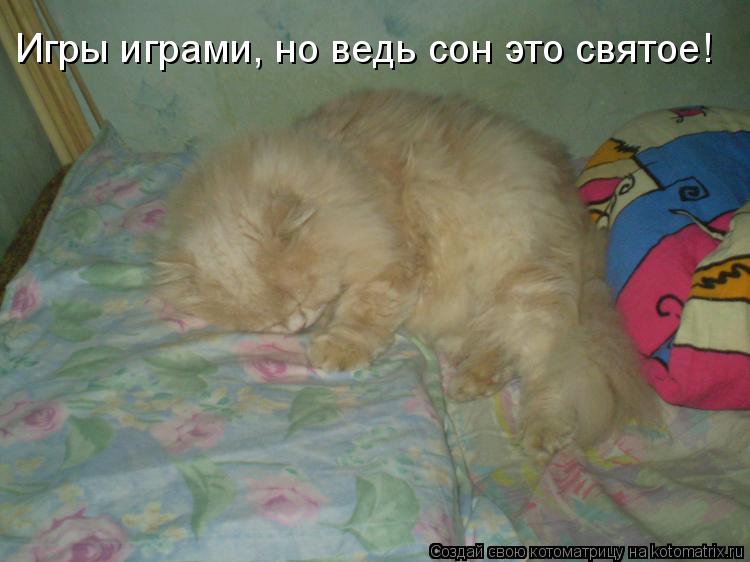 Игры играми, но ведь сон это святое!... Котоматрица: Игры играми, но ведь сон это святое!