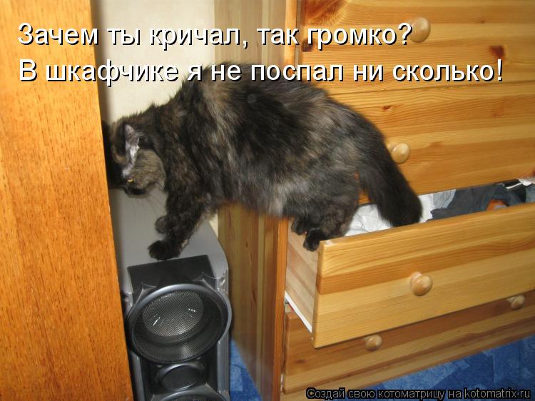 Зачем ты кричал, так громко? В шкафчике я не поспал ни сколько!... Котоматрица: Зачем ты кричал, так громко? В шкафчике я не поспал ни сколько!