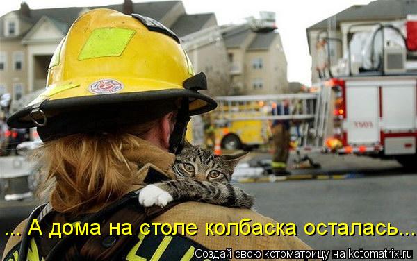 ... А дома на столе колбаска осталась...... Котоматрица: ... А дома на столе колбаска осталась...