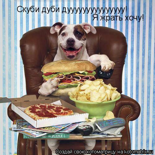 Скуби дуби дууууууууууууууу! Я жрать хочу!... Котоматрица: Скуби дуби дууууууууууууууу! Я жрать хочу!