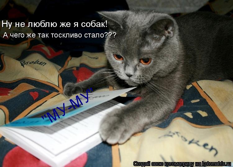 А чего же так тоскливо стало??? Ну не люблю же я собак! "МУ-МУ"... Котоматрица: А чего же так тоскливо стало??? Ну не люблю же я собак! "МУ-МУ"
