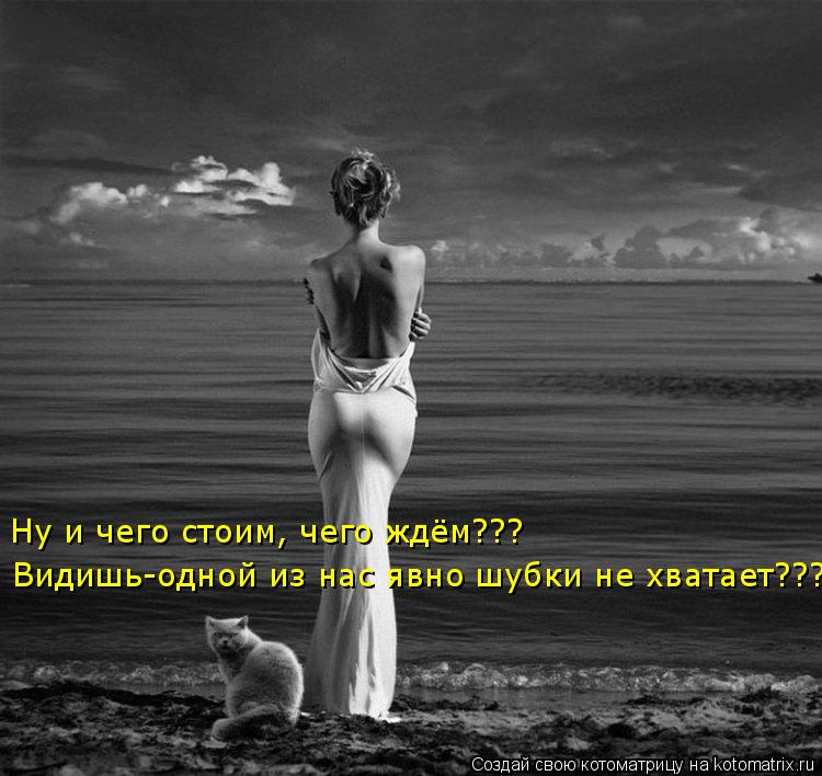 Видишь-одной из нас явно шубки не хватает??? Ну и чего стоим, чего ждём???... Котоматрица: Видишь-одной из нас явно шубки не хватает??? Ну и чего стоим, чего ждём???